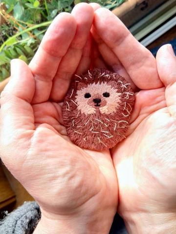 Hedgehog in hand