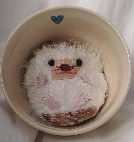 Image of the hedgehog, white belly up and facing the viewer, nestled inside a small bowl.