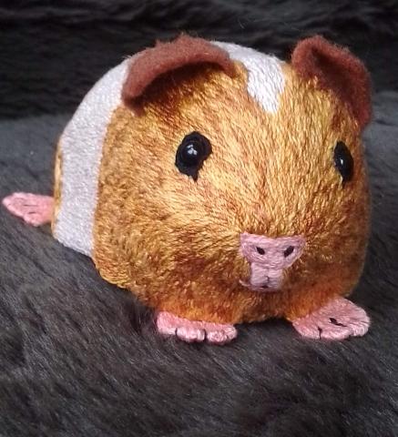 A front view of the guinea pig, showing its shiny black eyes and pink nose as well as its floppy brown ears