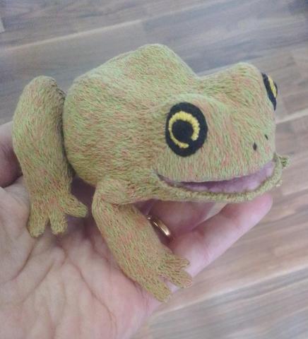 A greenish-brown toad with big eyes is sitting on my hand