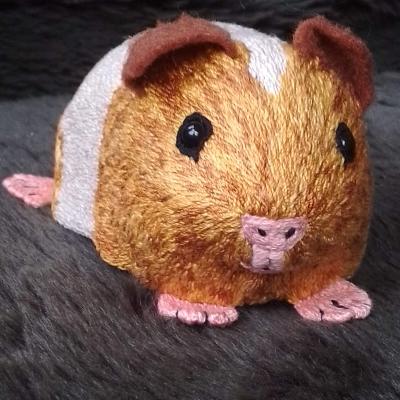 A front view of the guinea pig, showing its shiny black eyes and pink nose as well as its floppy brown ears